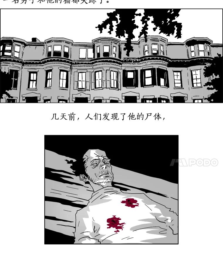 Dr.Brain脑博士 6.猫的视角 第17页