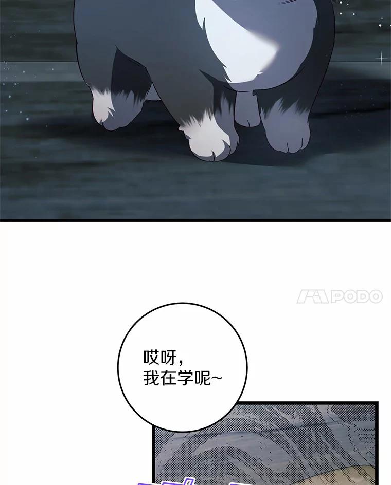 《从今天起，公爵府由我接管》30.公爵的奖励 第38页