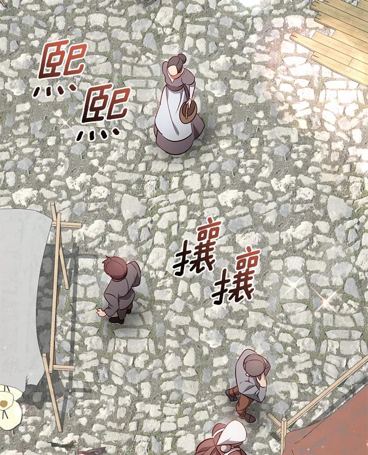 《从今天起，公爵府由我接管》36.神奇的东西 第2页