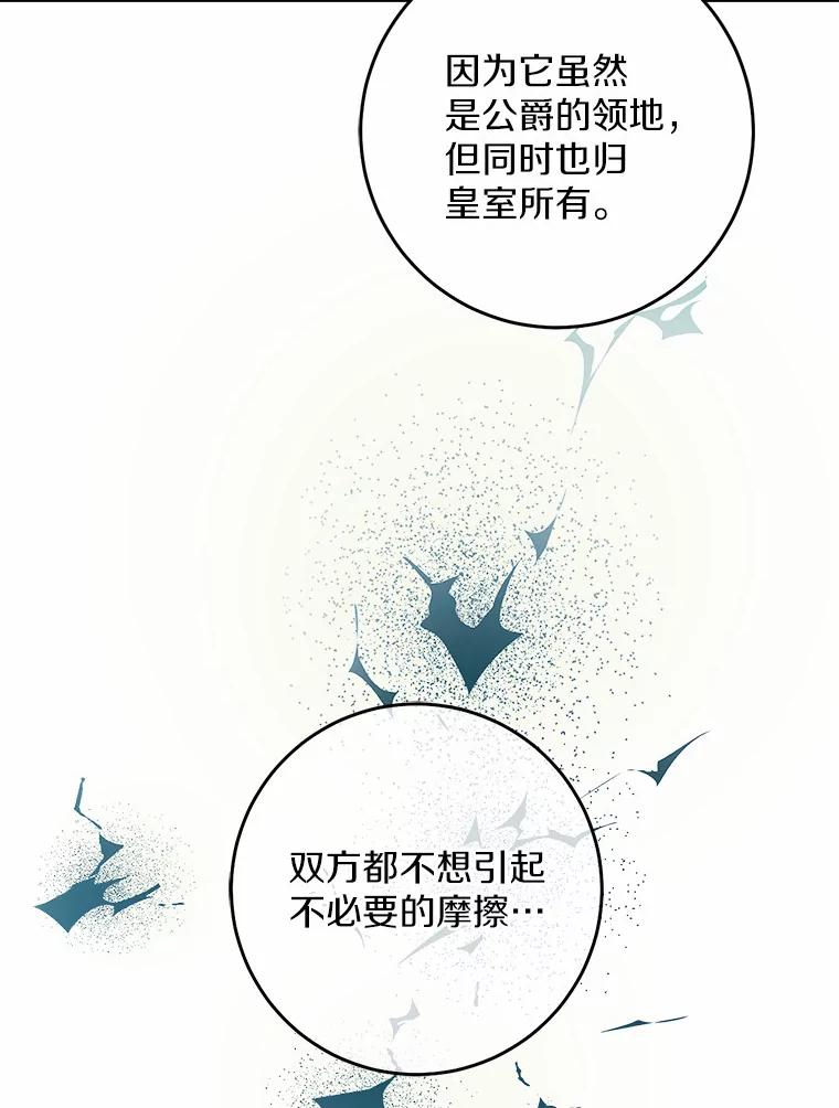 《从今天起，公爵府由我接管》36.神奇的东西 第83页