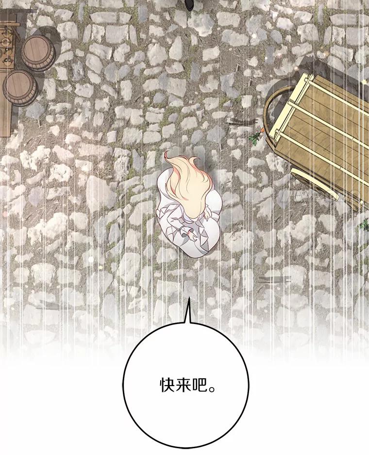《从今天起，公爵府由我接管》36.神奇的东西 第4页