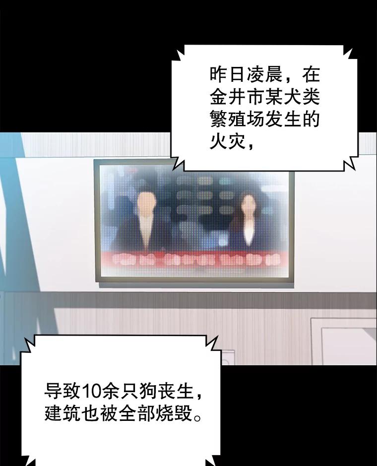 《彩虹桥守望者》54.伤猫者（4） 第77页