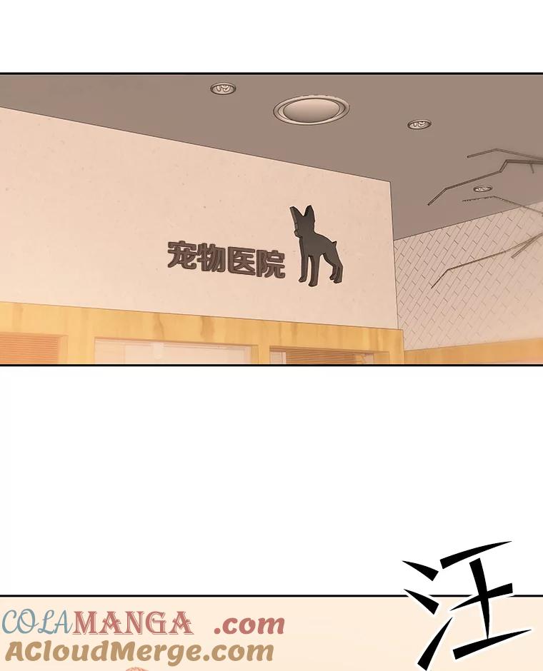 《彩虹桥守望者》55.愿你投胎为人 第16页