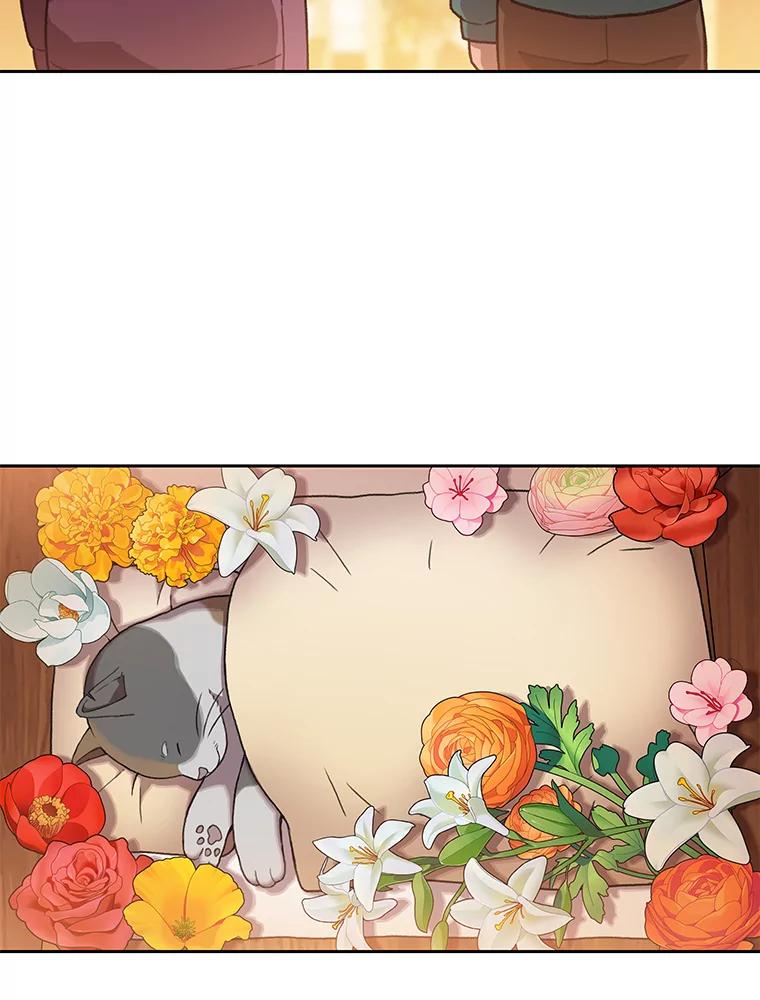 《彩虹桥守望者》55.愿你投胎为人 第41页