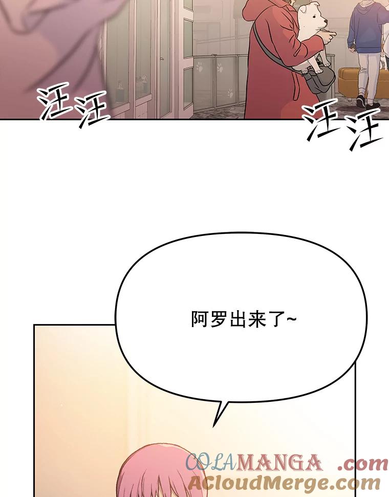 《彩虹桥守望者》55.愿你投胎为人 第25页