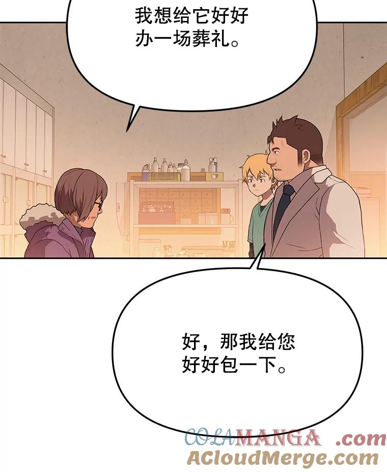 《彩虹桥守望者》55.愿你投胎为人 第13页