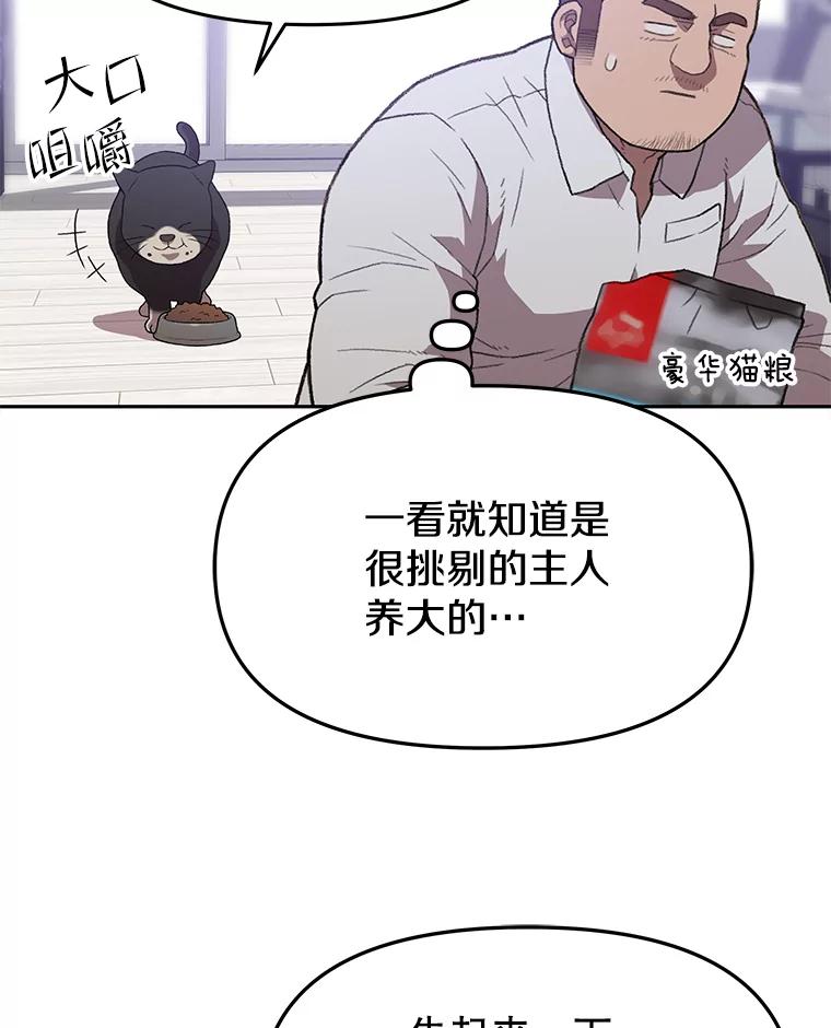 《彩虹桥守望者》57.星星（1） 第44页