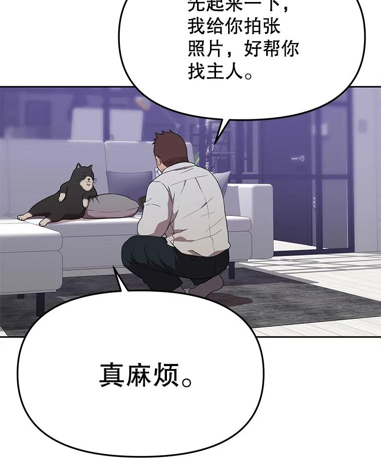 《彩虹桥守望者》57.星星（1） 第45页