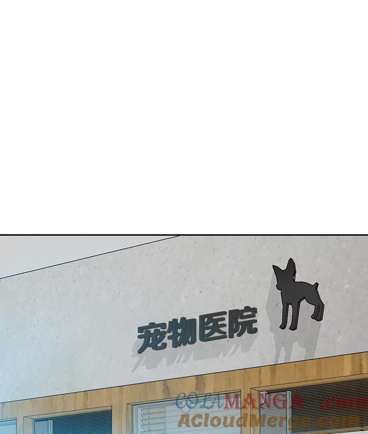 《彩虹桥守望者》61.那些回忆，那些真相…（1） 第25页