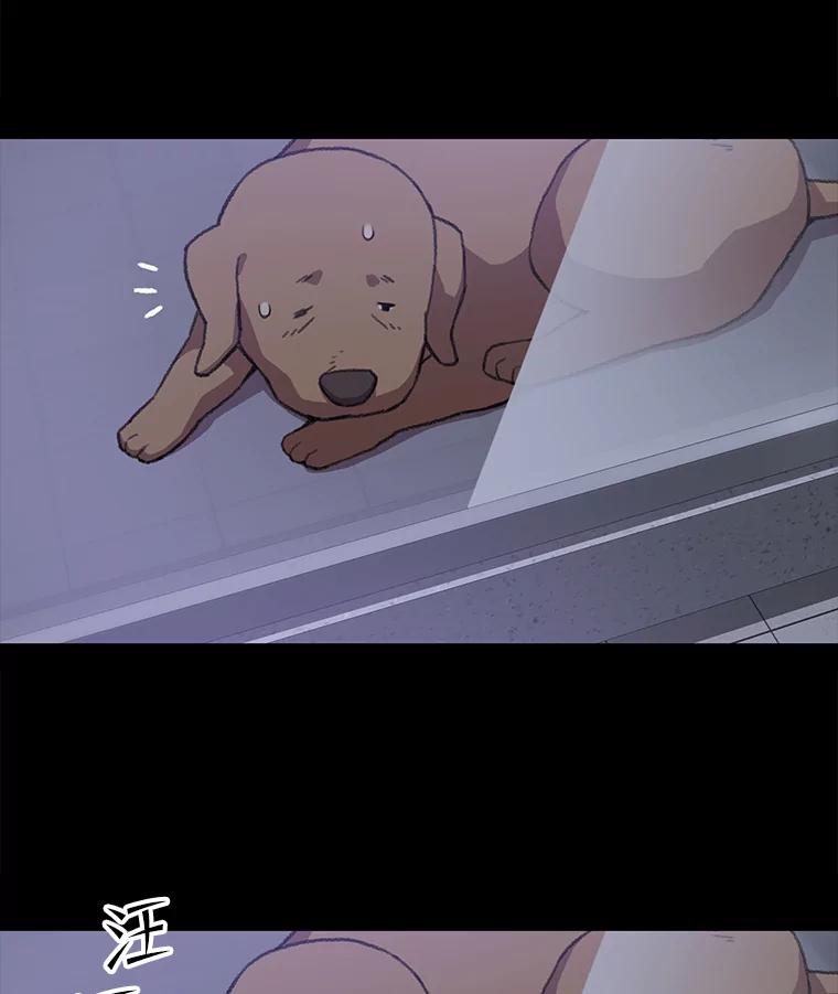 《彩虹桥守望者》62.那些回忆，那些真相…（2） 第42页