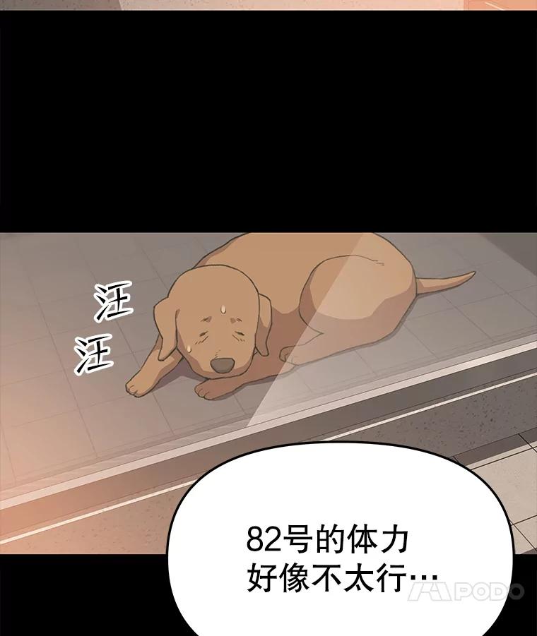 《彩虹桥守望者》62.那些回忆，那些真相…（2） 第29页