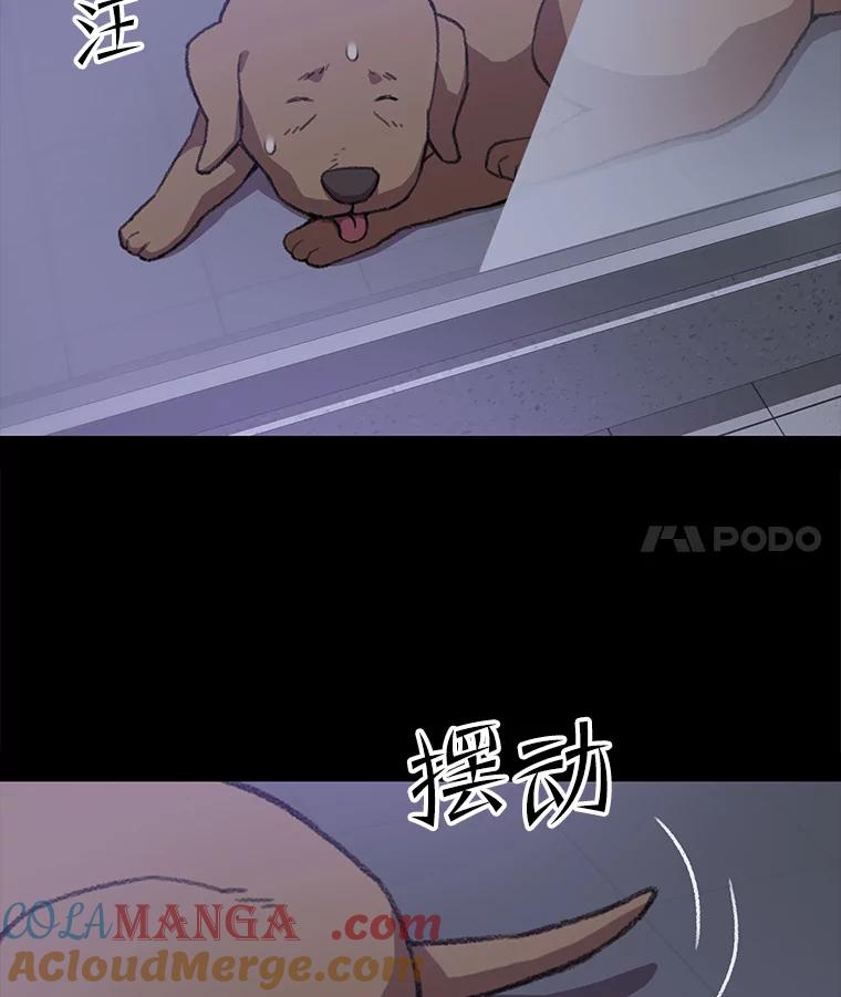 《彩虹桥守望者》62.那些回忆，那些真相…（2） 第43页
