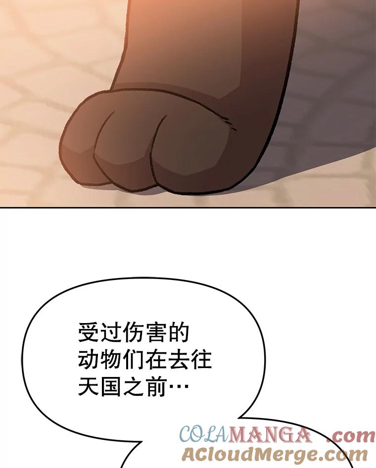 《彩虹桥守望者》63.寻找梦梦 第43页