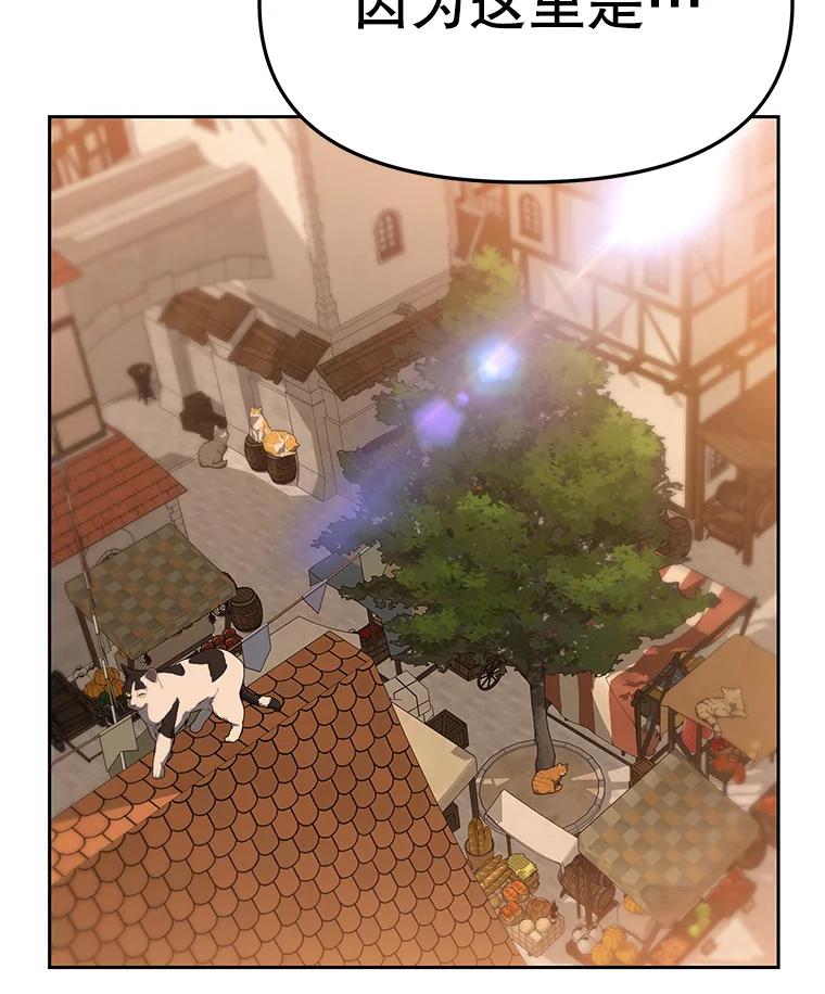 《彩虹桥守望者》63.寻找梦梦 第51页