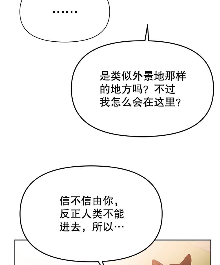 《彩虹桥守望者》63.寻找梦梦 第47页