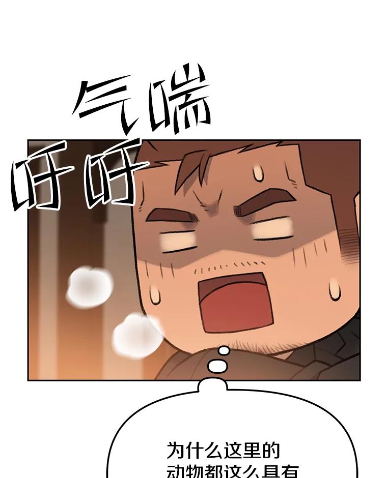 《彩虹桥守望者》63.寻找梦梦 第75页