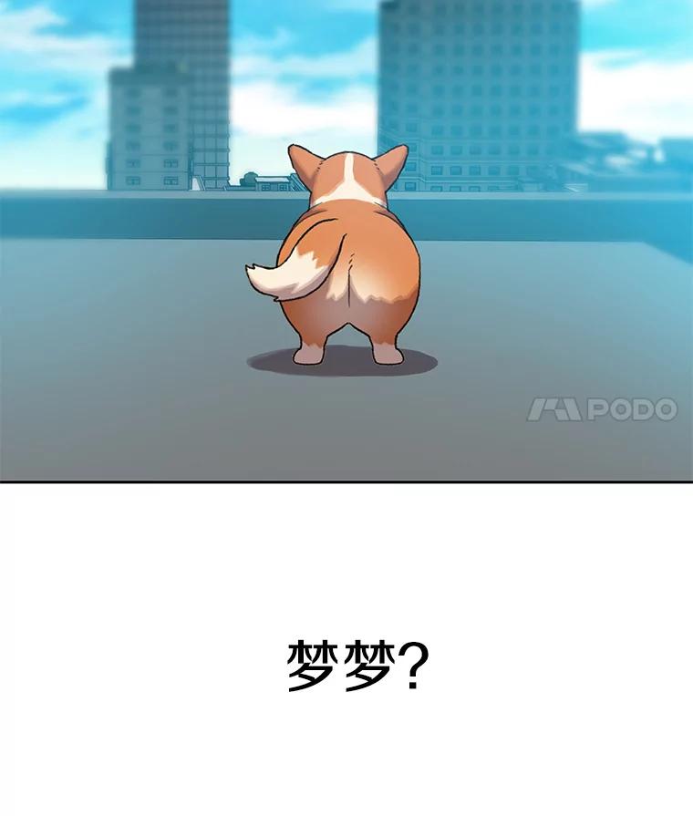 《彩虹桥守望者》63.寻找梦梦 第11页