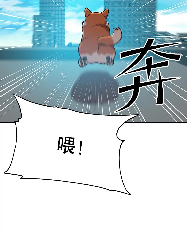 《彩虹桥守望者》63.寻找梦梦 第17页
