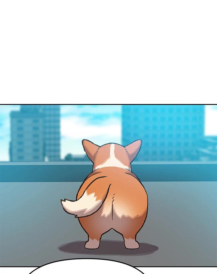 《彩虹桥守望者》63.寻找梦梦 第14页