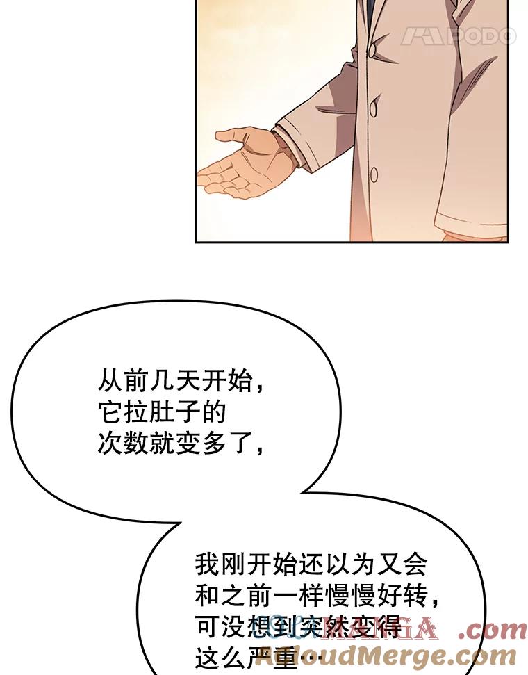 《彩虹桥守望者》69.圆团的故事（1） 第37页