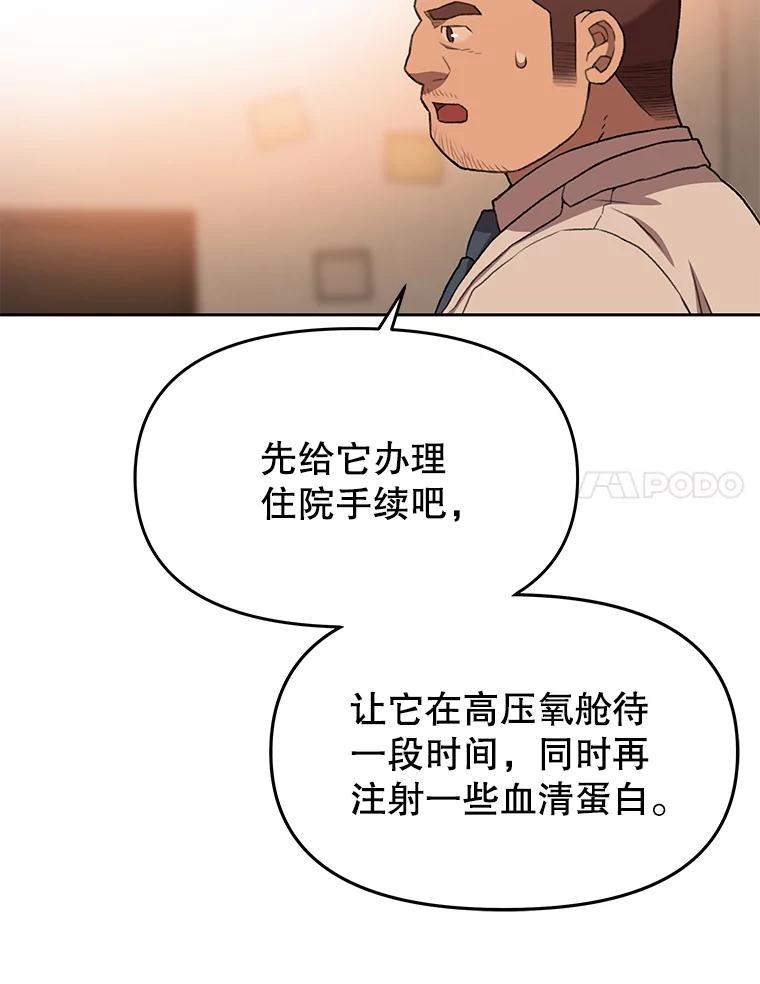 《彩虹桥守望者》69.圆团的故事（1） 第50页