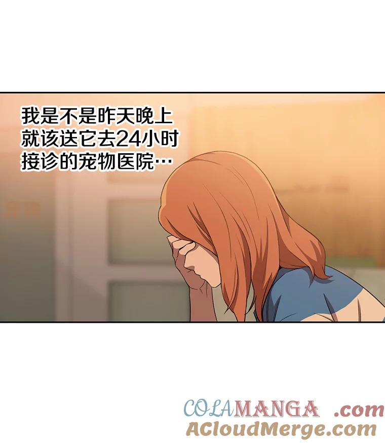 《彩虹桥守望者》69.圆团的故事（1） 第31页