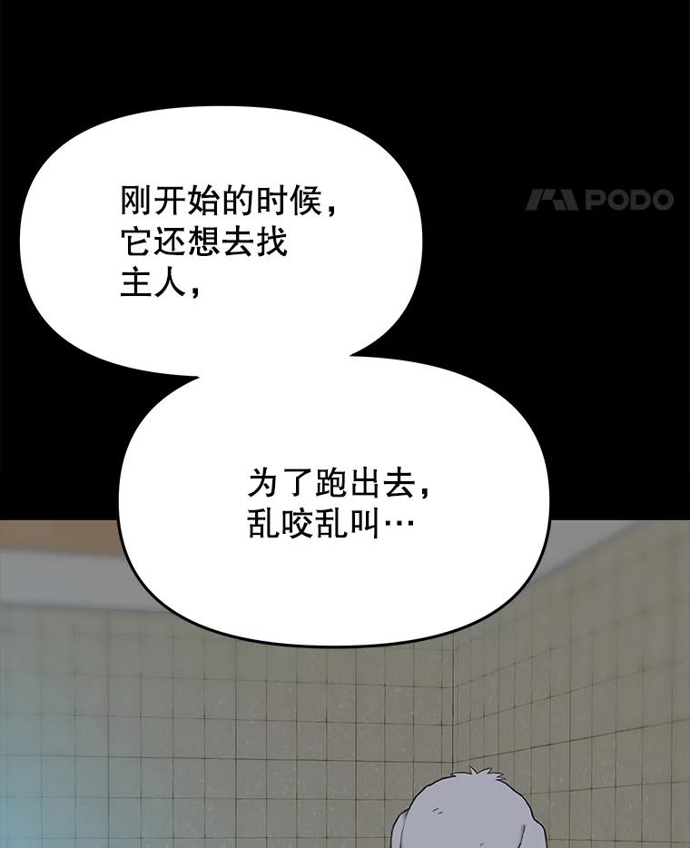 《彩虹桥守望者》69.圆团的故事（1） 第71页
