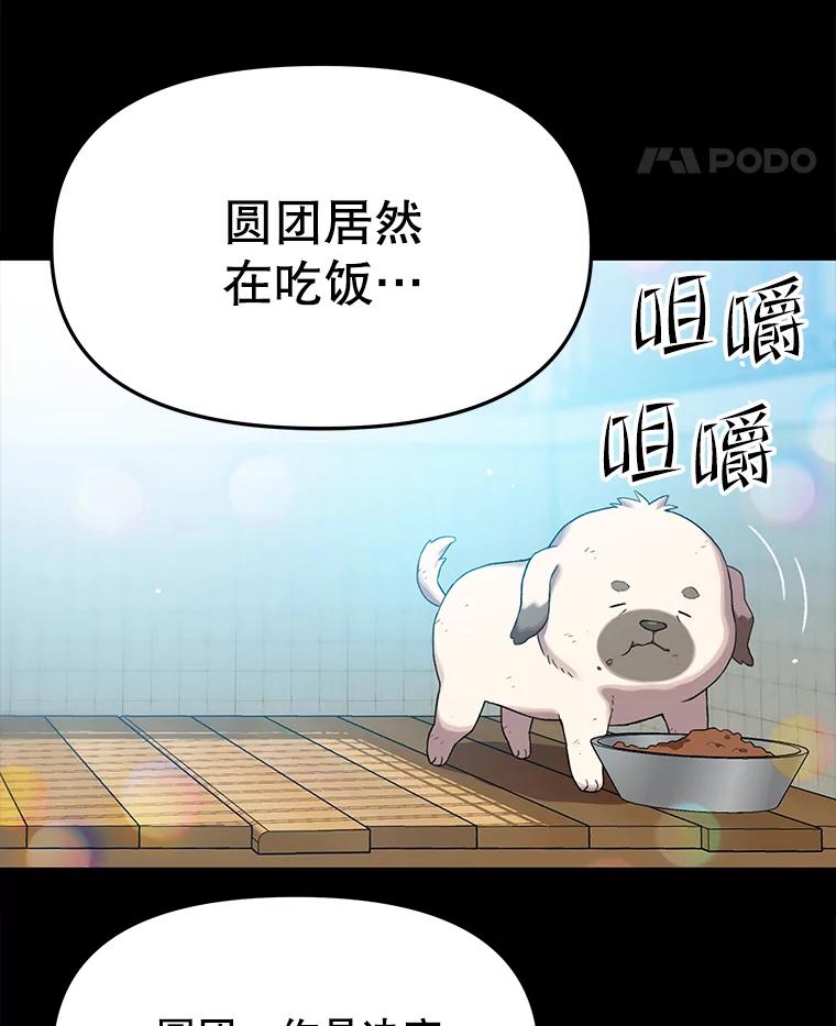 《彩虹桥守望者》70.圆团的故事（2） 第9页