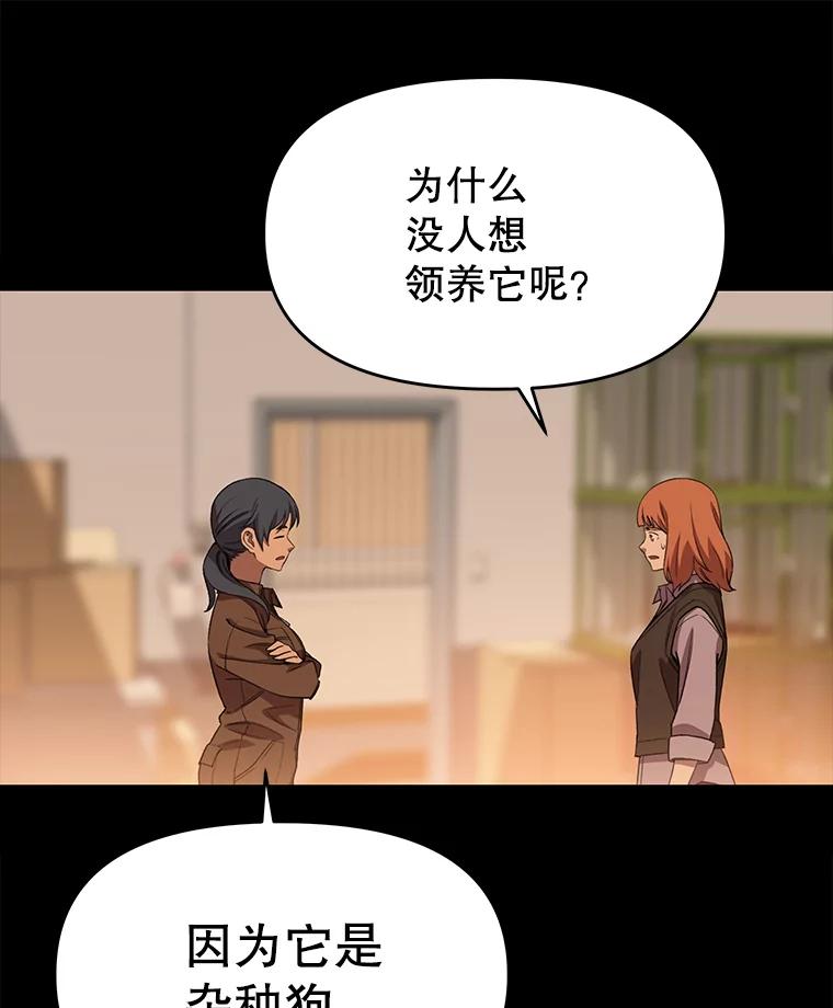 《彩虹桥守望者》70.圆团的故事（2） 第63页
