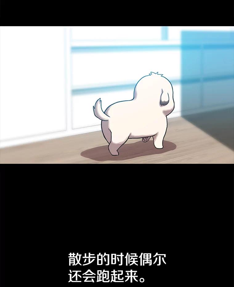 《彩虹桥守望者》71.圆团的故事（3） 第45页