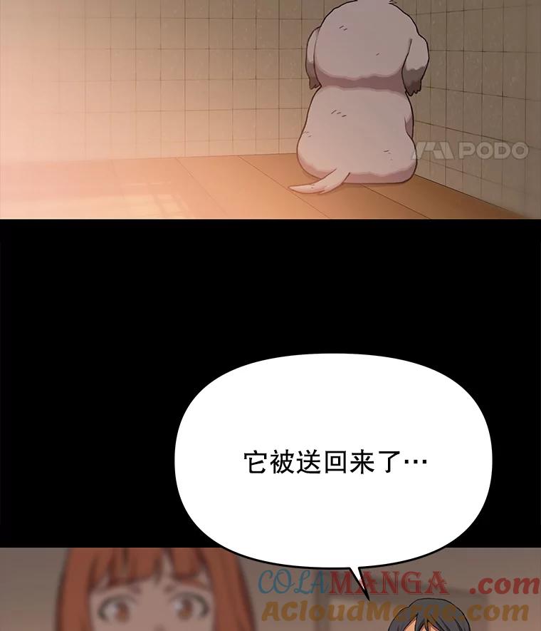 《彩虹桥守望者》71.圆团的故事（3） 第16页