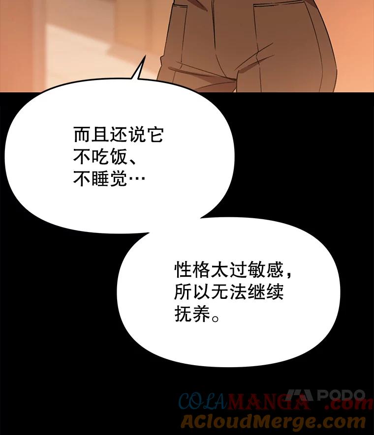 《彩虹桥守望者》71.圆团的故事（3） 第19页