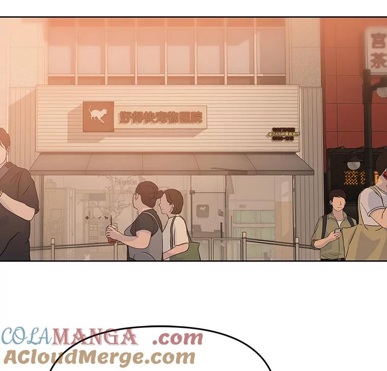 《彩虹桥守望者》72.圆团的故事（4） 第13页