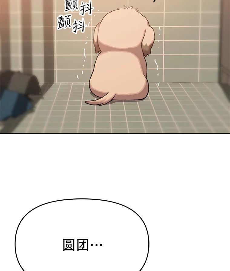 《彩虹桥守望者》72.圆团的故事（4） 第29页