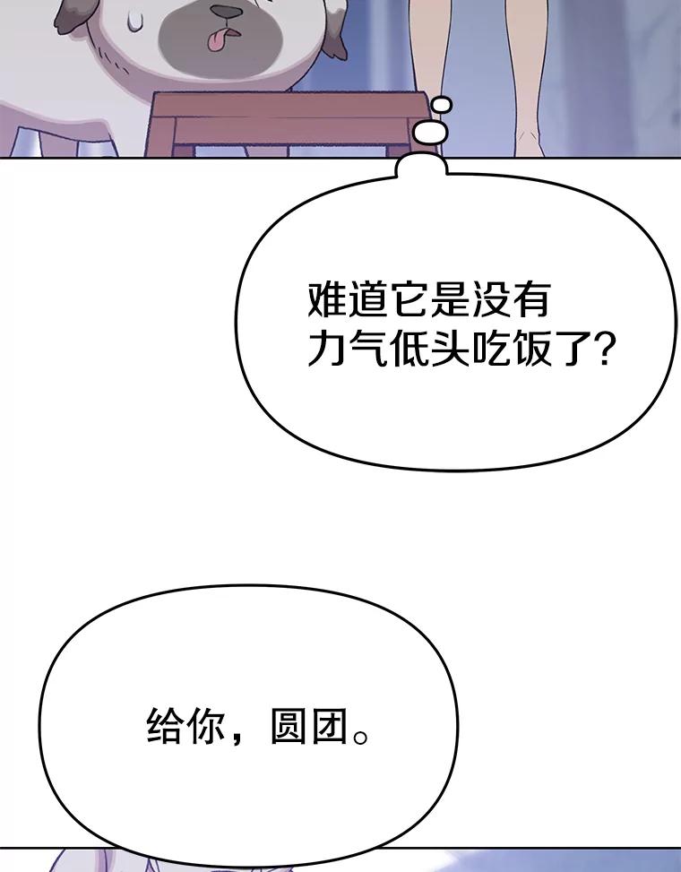 《彩虹桥守望者》72.圆团的故事（4） 第66页