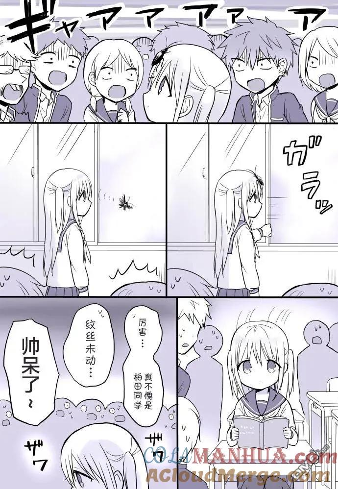 无口的柏田小姐与元气的太田君 - 主线连载篇 - 第3张图