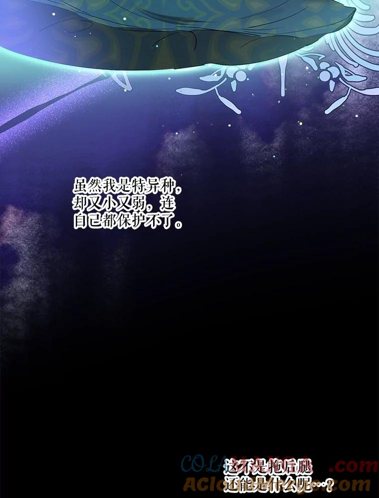 重生为神兽宝宝 - 34.往事 - 第85张图