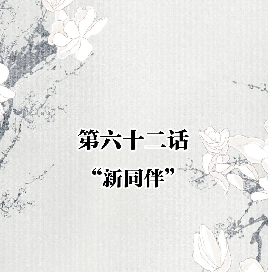 不小心救了江湖公敌 062 “新同伴” 第2页