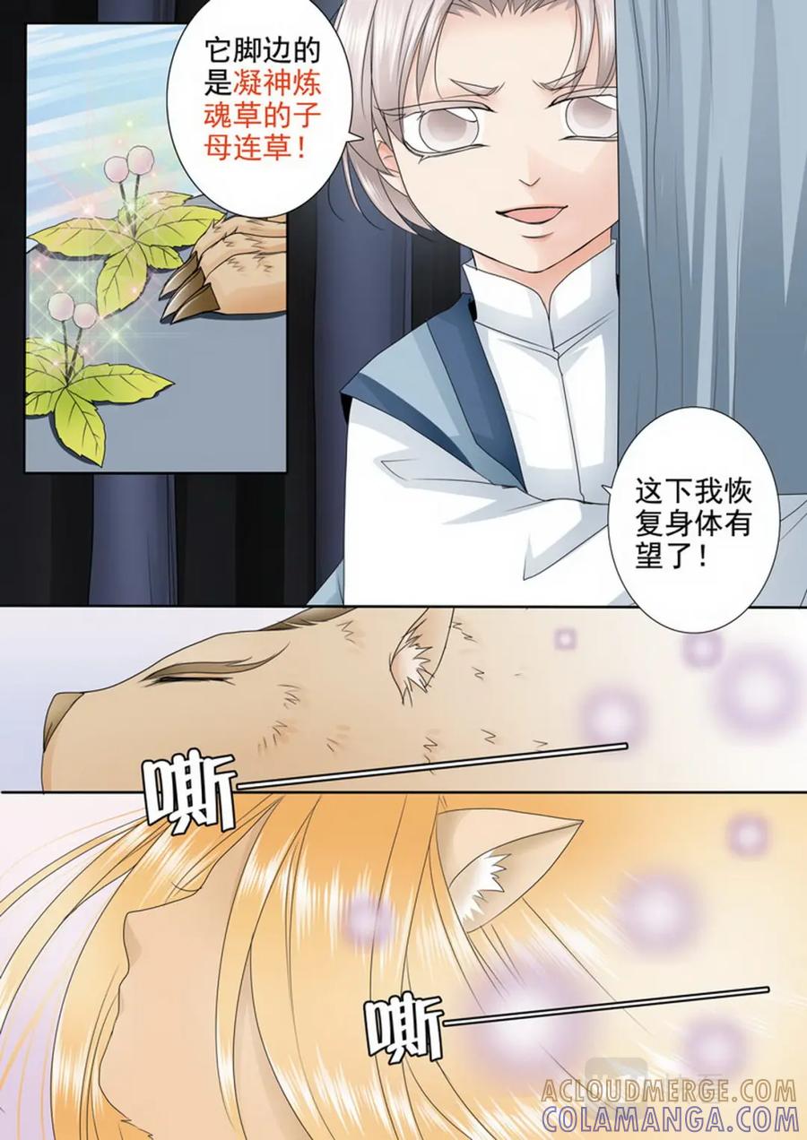 《我的师傅不是人》第三百零八话 第5页