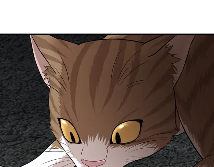 《疯颜档案》第31话 狩猎者 第87页