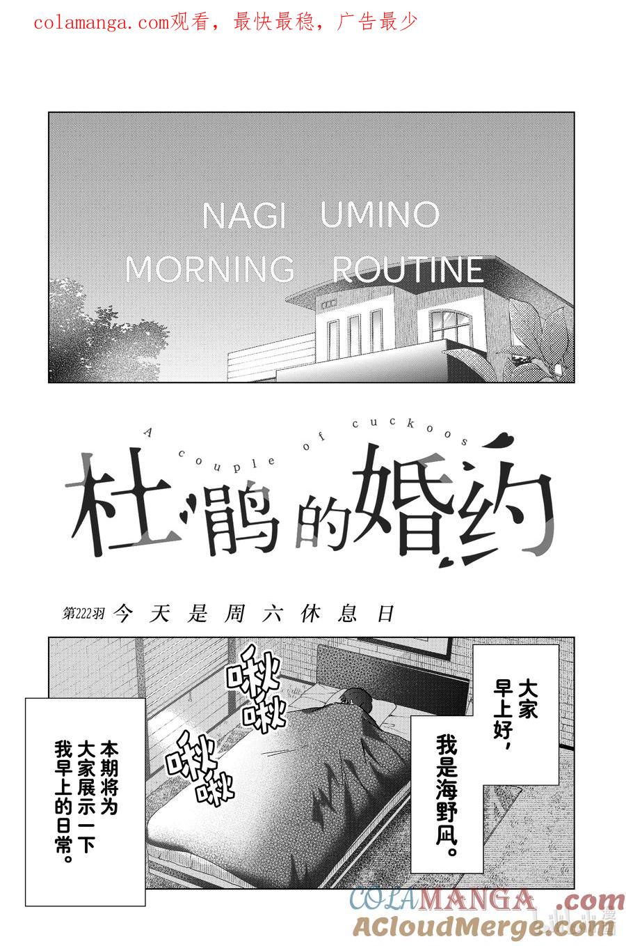 《杜鹃的婚约》222 今天是周六休息日 第1页