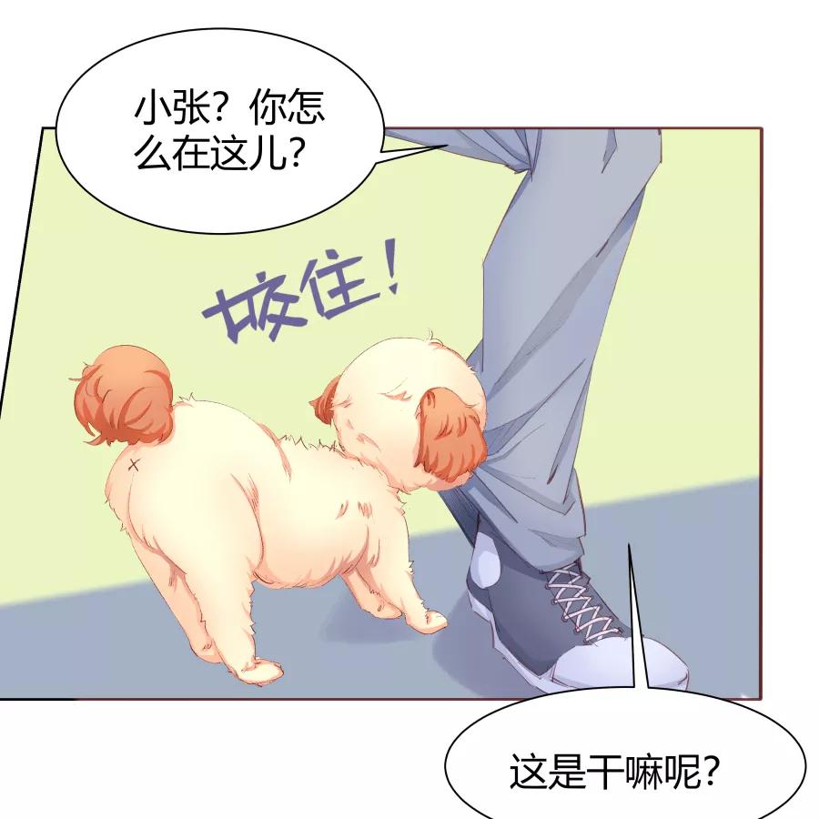 《Eat me - 槑槑的吸血爱豆》第33话 第33页