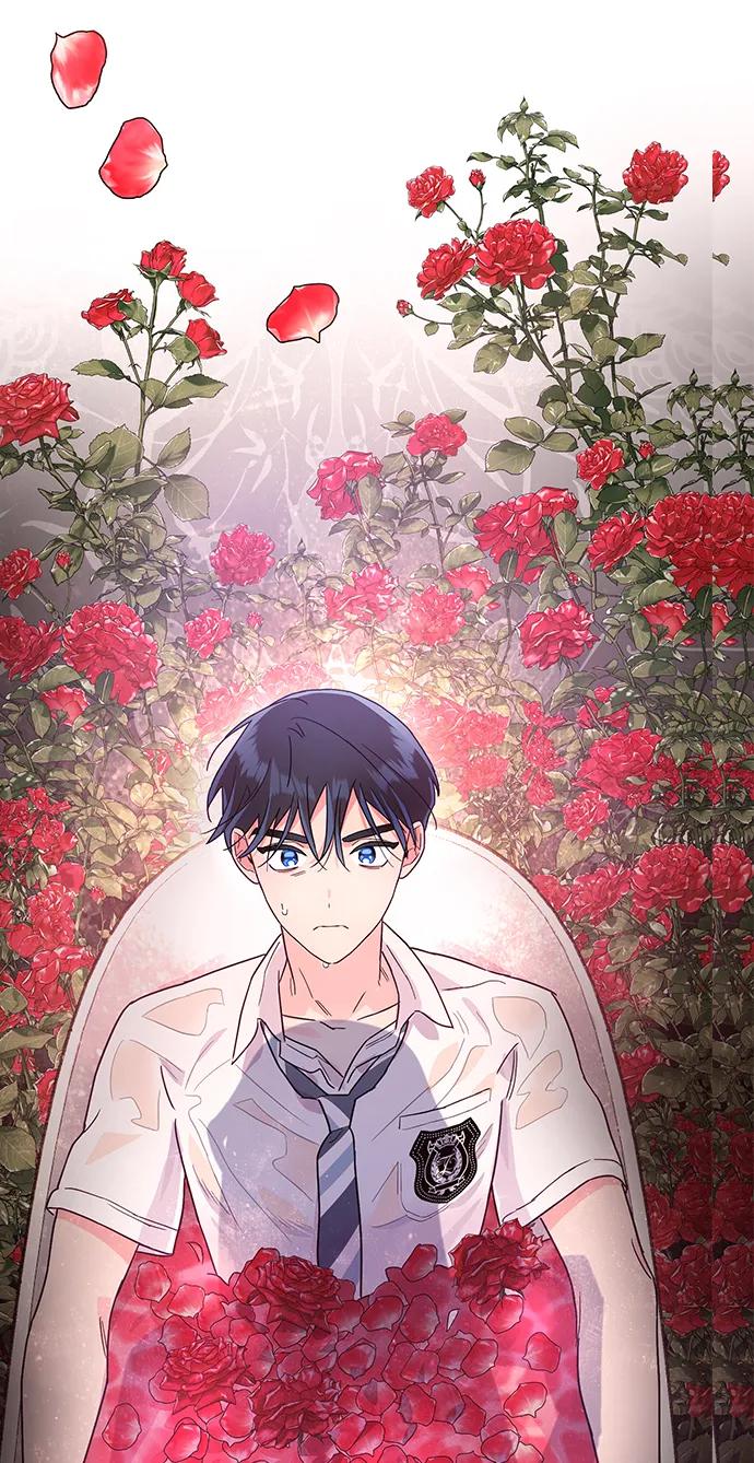 《今日的维纳斯》第50话 第24页