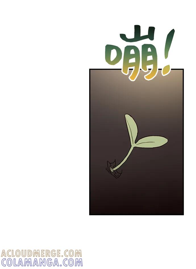 《今日的维纳斯》第59话 第40页