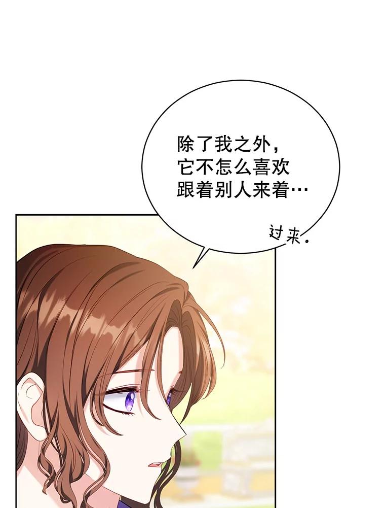 《乙女游戏中的女仆想辞职》18.忠诚的猎犬 第14页