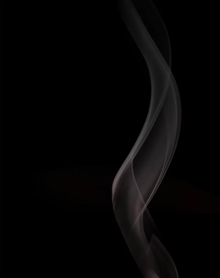 《乙女游戏中的女仆想辞职》21.和奥蒂斯的往事 第80页