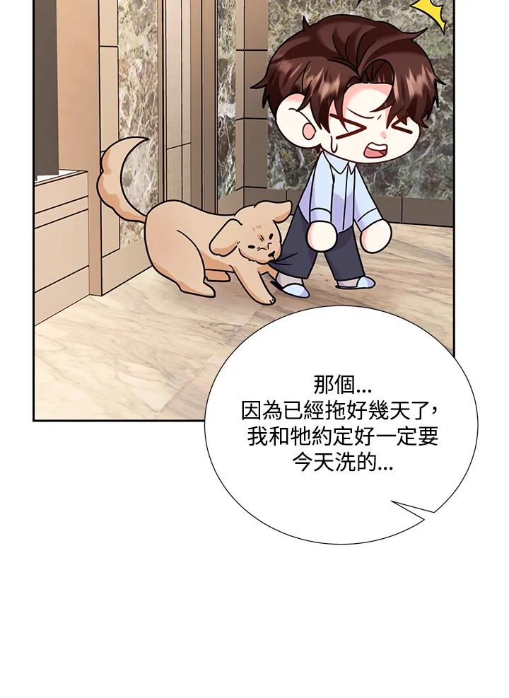 《替身未婚夫》第32话 第72页