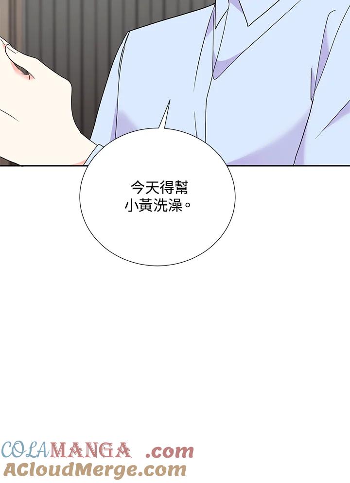 《替身未婚夫》第32话 第67页