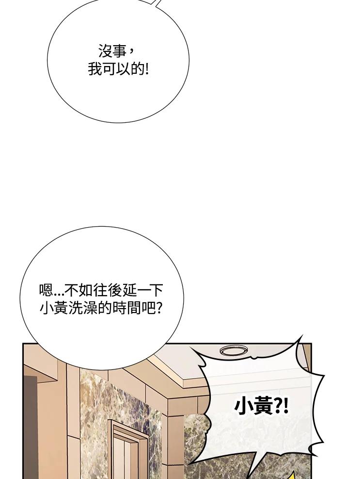 《替身未婚夫》第32话 第71页