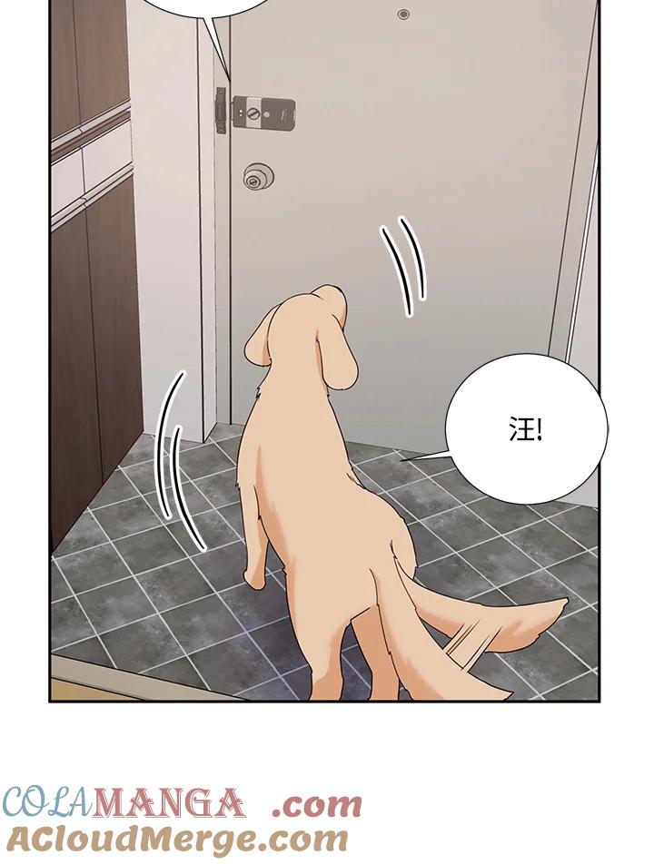 《替身未婚夫》第33话 第4页